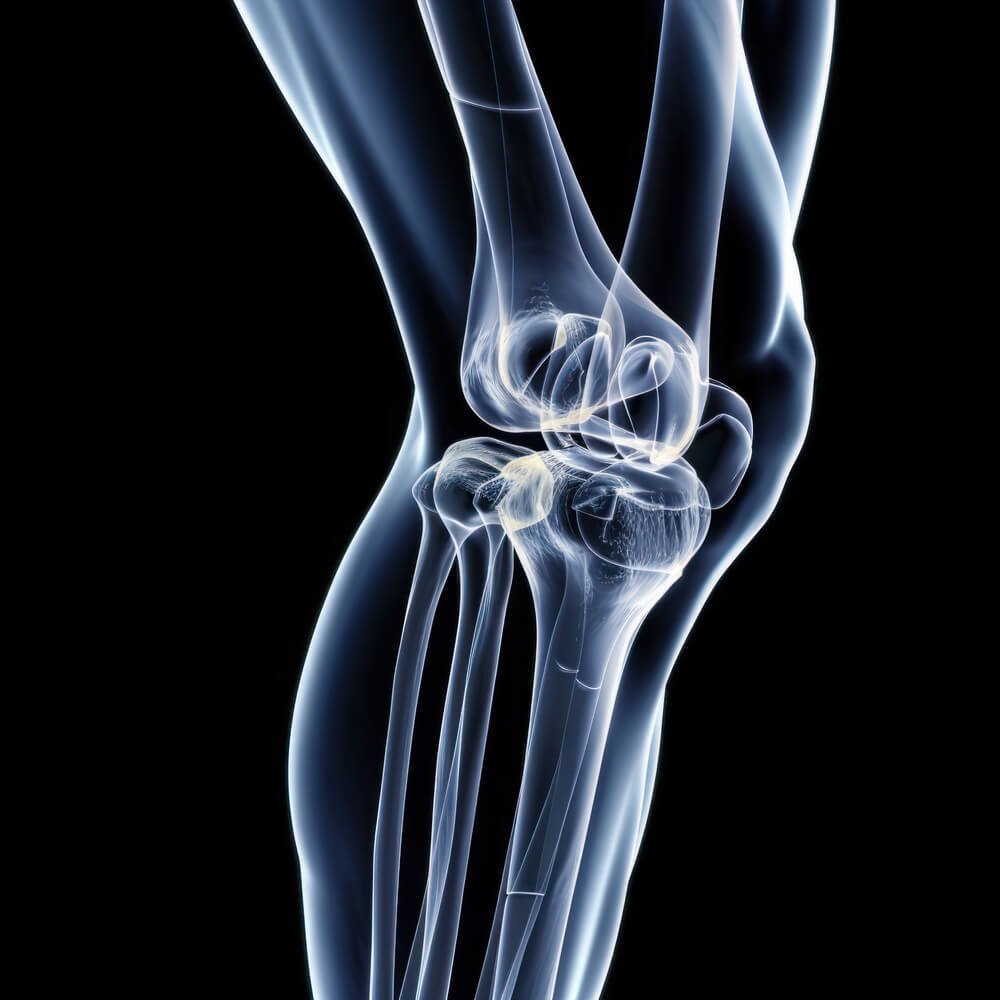 home-fashion-trendset