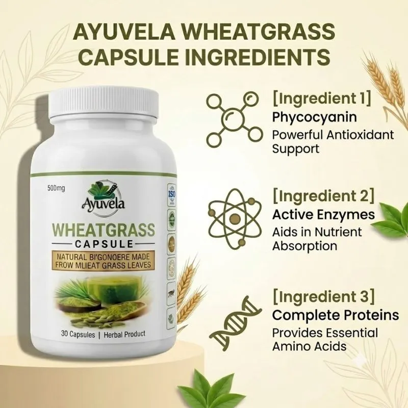 Wheatgrass 30 Capsules - Ayuvela Ayurveda